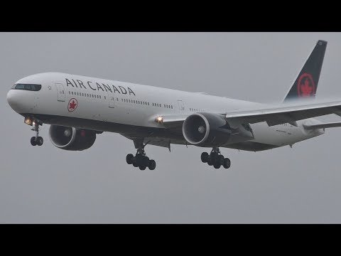 NEW LIVERY | Air Canada Boeing 777-300ER Landing at London Heathrow