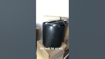 Hút mặt hồ cá koi loại lớn @Qankoi