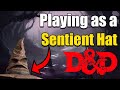 Playing as a sentient hat in dd