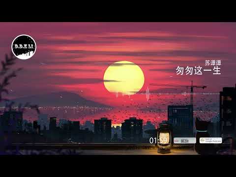 2022華語網絡流行音樂 ||《匆匆這一生》|| 蘇譚譚 || 動態歌詞