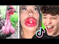 Funniest TikTok&#39;s of the Week!