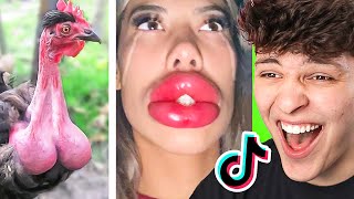 Funniest TikTok&#39;s of the Week!