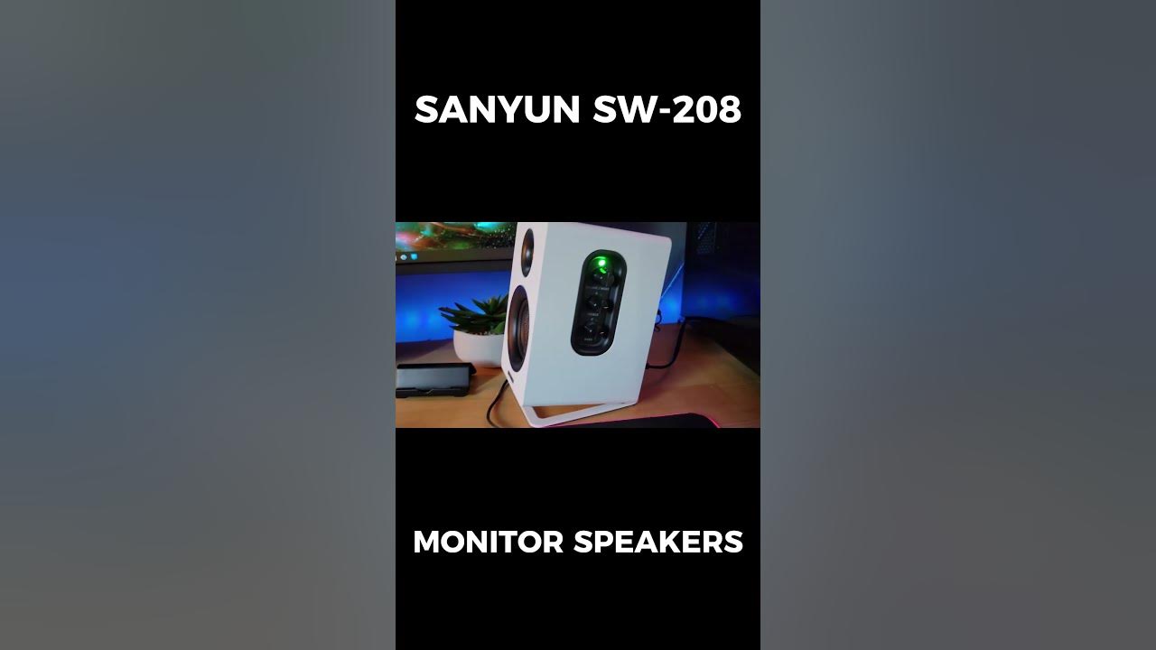 SANYUN SW208 Desktop speakers YouTube