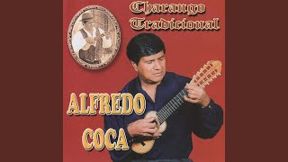 Video thumbnail of "Alfredo Coca - Selección de Kaluyos: Ay Amor / Cintita Celestita / Estas Pensando Agraviarme"