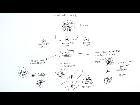 Cancer stem cells