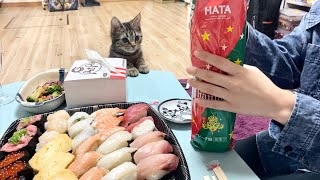 豪華クリスマスパーティ中に我慢できず参加しにきてしまった子猫w