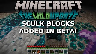Sculk Blocks Added In Beta | Minecraft Wild Update