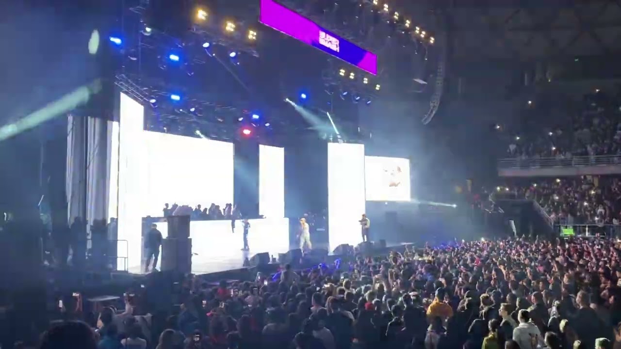 MI GATA | SUPER SMASH | STANDLY