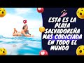 😎¿POR QUE ESTA PLAYA Salvadoreña es la más codiciada 😱 de todo mundo?. 👉EL TUNCO BEACH, Surf City #1