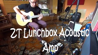 ZT Lunchbox Acoustic Amp / Yamaha NTX 700 / Ditto Looper