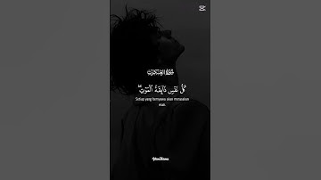 سورة العنكبوت القرآن الكريم #اكسبلور #المصحف #لايك #راحة_نفسية