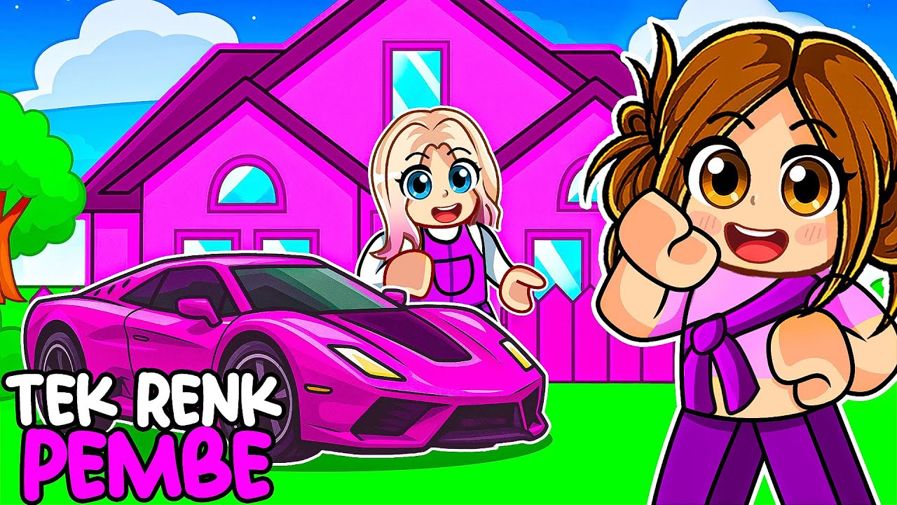 TEK RENK PEMBE 💥ROBLOX BROOKHAVEN🏡RP