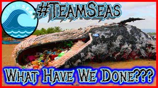 We Need Your Help... Yes You Reading This - #TeamSeas Ocean Clean Up Worldwide Fundraiser