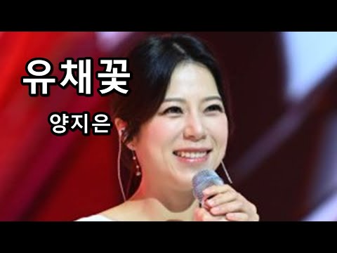 유채꽃 - 양지은 (성인가요)