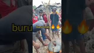 #ritual Adat Buru