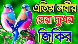 এতিম নবীর সেরা কষ্টের জিকির মায়াবী কণ্ঠে লা ইলাহা ইল্লাল্লাহু জিকির শুণলে অন্তর কেপে জায় ||