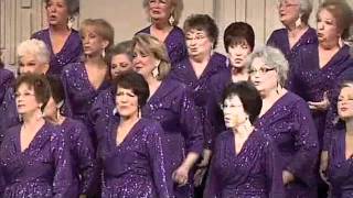 Ok Cityover The Rainbowsnippet.m4V