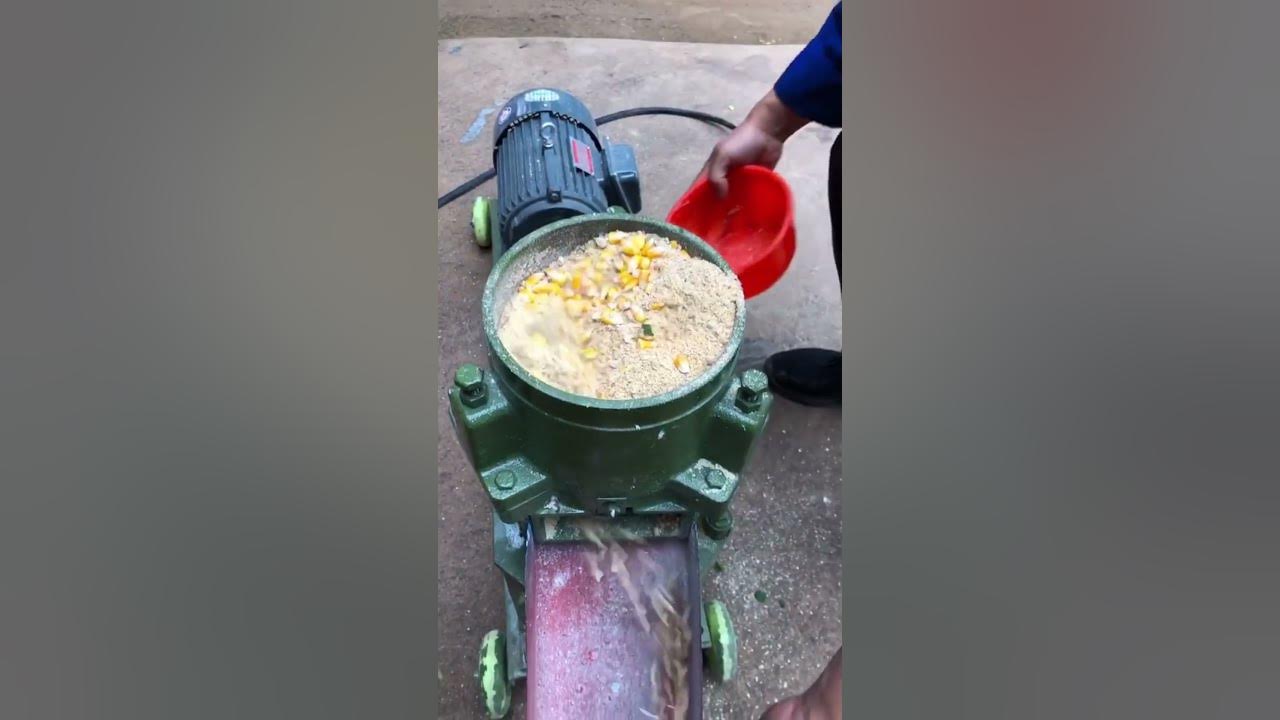 How to make chicken feed pellets by feed pellet machine youtube