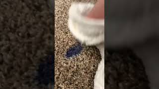 #howto remove nail polish from your carpet #Fashion101 #oddlysatisfying #makeup