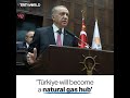 We will create an energy hub here - Erdogan