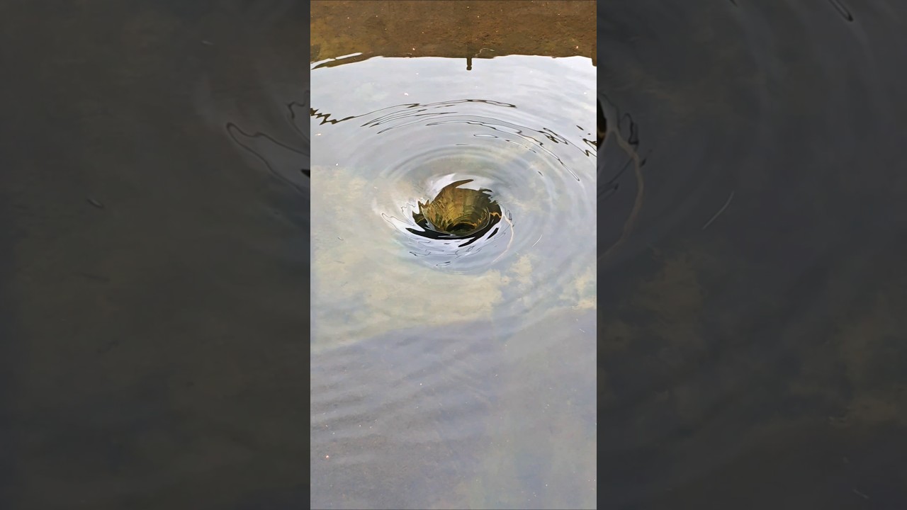 fish breeding circular tank 