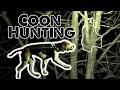 COON Hunting with DOGS - Our First Time Ever