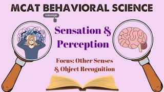 MCAT Behavioral Science: Chapter 2 - Sensation and Perception (3/3)