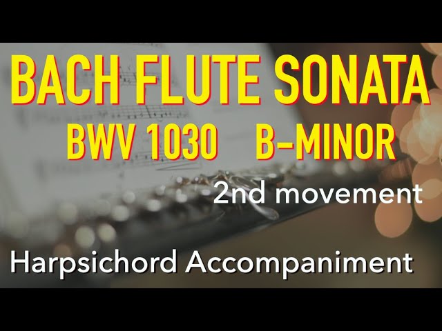 J.S Bach Flute Sonata BWV1030 B minor 1st Movement J.S.バッハ