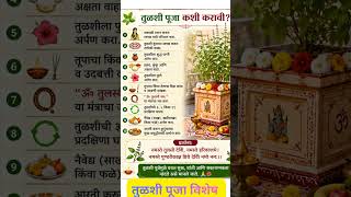तुळशी पूजा अशी करा🌺 #Shorts#MarathiShorts#Reels#MarathiReels#InstaMarathi#TulsiPuja #TulsiMata