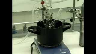 Reactions under Gaseous Atmosphere