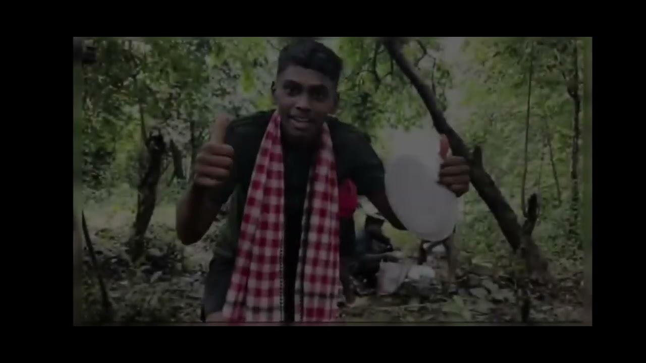 #🐘🐍🦚Part 2# ଶିମିଳିପାଳ ଅଭୟାରଣ୍ୟ ରେ 🦌🐍ଆମେ ବର୍ଷା ଦିନରେ ଫିଷ୍ଟ 🐅🐯📸🦚🦊🐍🐘🦌🦷