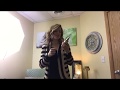 Shannon Goode . GoodeHair Reviews Kenra’s Luxe One Leave In : Gold Miracle Spray.  I Love It!!!