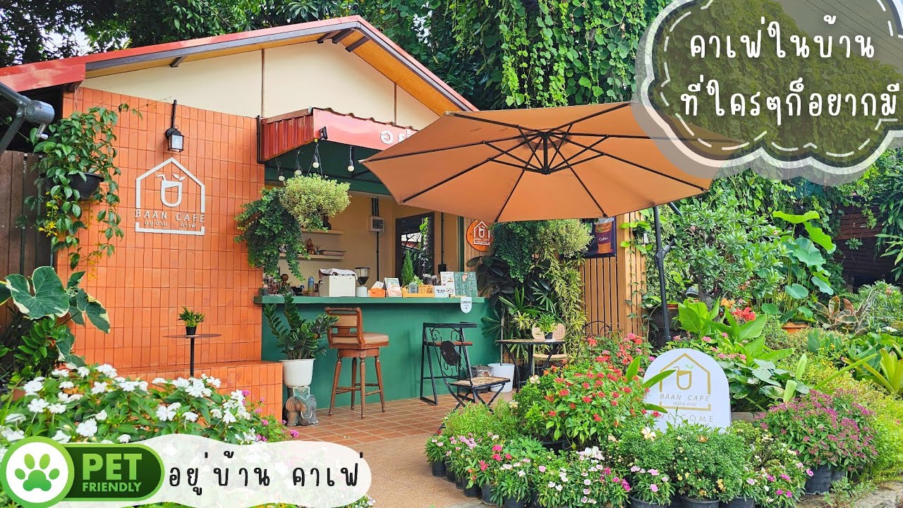 ไอเดียแต่งร้าน รีวิวคาเฟ่เล็กๆ น่านั่ง อยู่บ้าน คาเฟ่ | ร้านกาแฟขนาดเล็กทำยังไงให้ปัง #บ้านและสวน