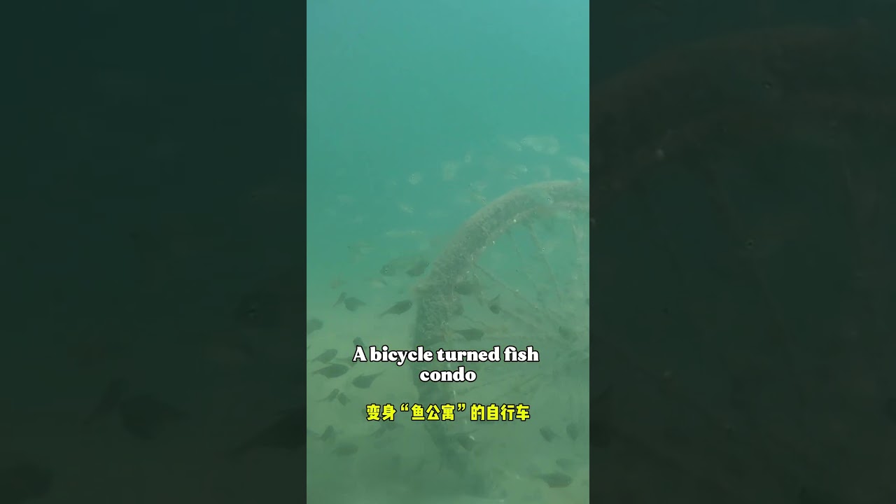 How to do yacht hull maintenance 