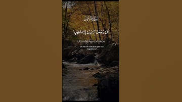 #اكسبلور #راحة_نفسية #القارء #duet #ايات #تيك_توك #تلاوات #دويتو #تلاوه #لايك