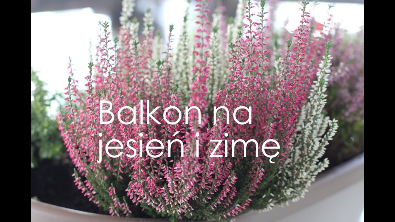 Pin Na Balkon