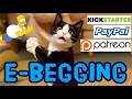 New York Dan Needs Money BlindViews Other Walk And Talk Tater Tracy Karl Calls #ebegging