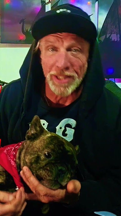 WHAT IS ASATRU? #asatru #norsepaganism #jasonsavage #fyp