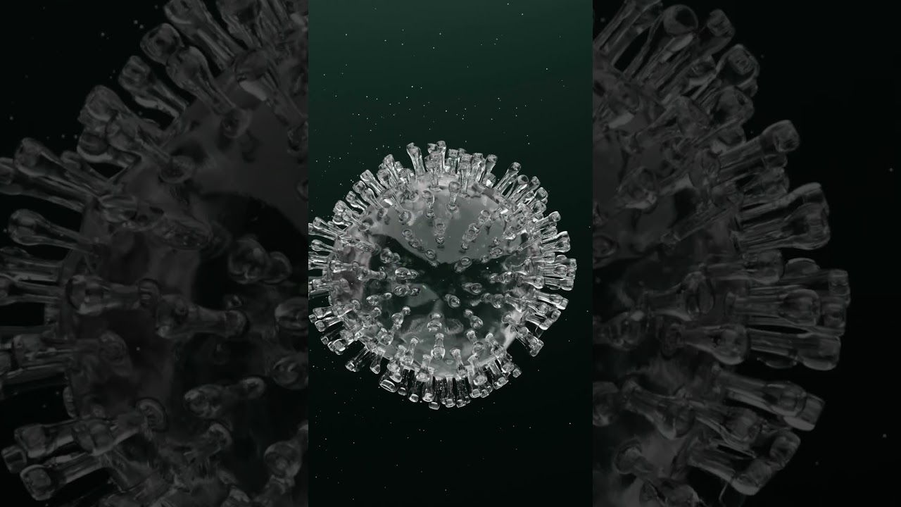 project "plast virus" 