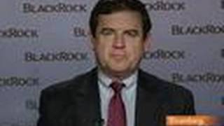 BlackRock's Doll Says Double-Dip Recession Unlikely: Video