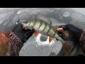 Экстремальная зимняя рыбалка на окуня. ( Ладожское озеро. Шальдиха.)