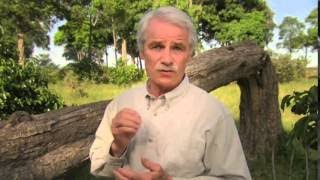 The Best Documentary Ever - Earth From Above Biodiversity