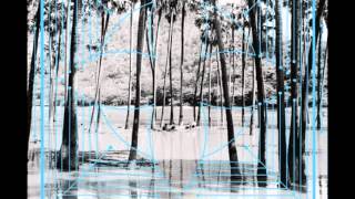 Video thumbnail of "Four Tet - Pyramid (Atoms For Peace Remix)"