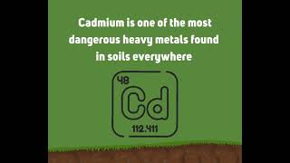 Wollastonite keeps the bad guys away....