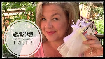 Worried about Cross-Pollination? Use this simple trick!