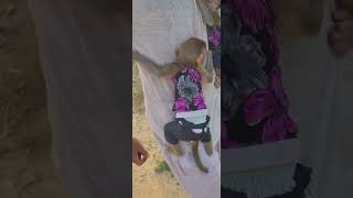 Ride To The Farming Area In First Time Baby