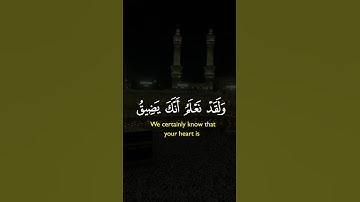 آيات بينات من الذكر الحكيم بصوت رائع وجميل ❤ #القرآن_الكريم #دويتو #المغرب #حالات_واتس #duet