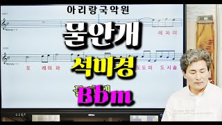 [대금가요공부방] 석미경 &quot;물안개&quot; Bbm (연주및MR)