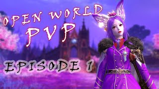Aion Zone 5.6 Open World PvP 1 - Pus (Templar)