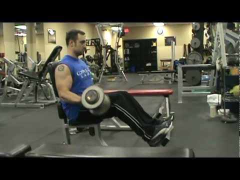 toning workout for women Seated DB Bicep Curl